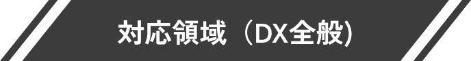 対応領域（DX全般）