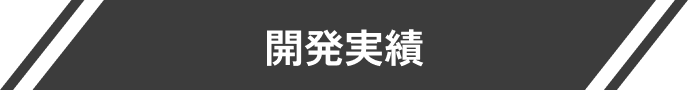 開発実績
